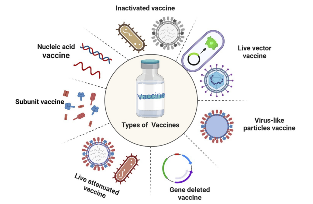 types of vaccines