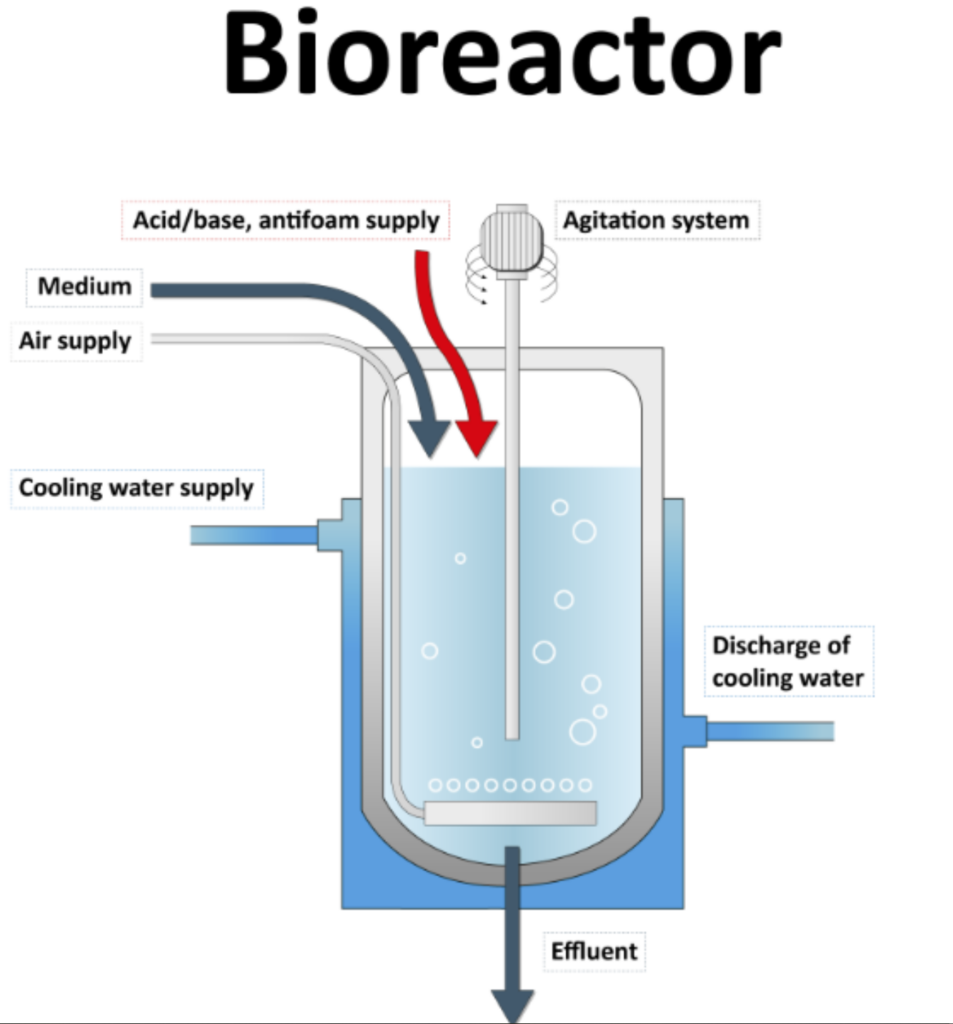 Bioreactor operation
