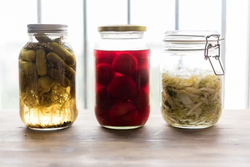 12 Uses of Submerged Fermentation