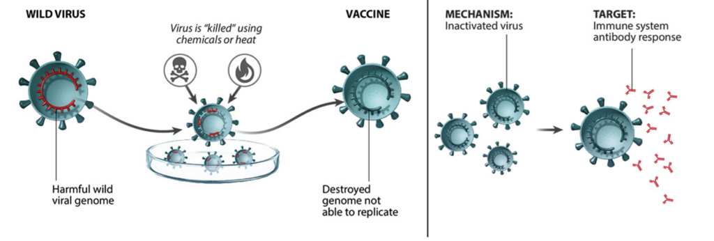 live vaccines