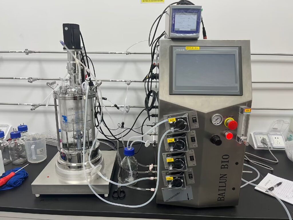 Mechanical driving glass fermenter 10 liter BLBIO-10GJ