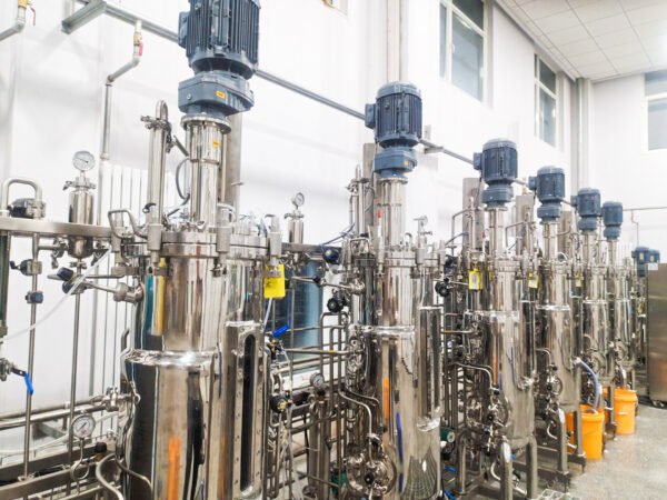 Six union of the stainless steel fermenter (100L)
