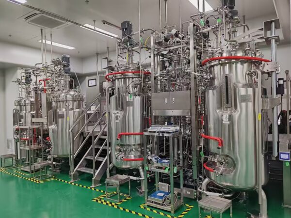 Mechanical Stirring Stainless Steel Fermenter BLBIO-SJA — изображение 3