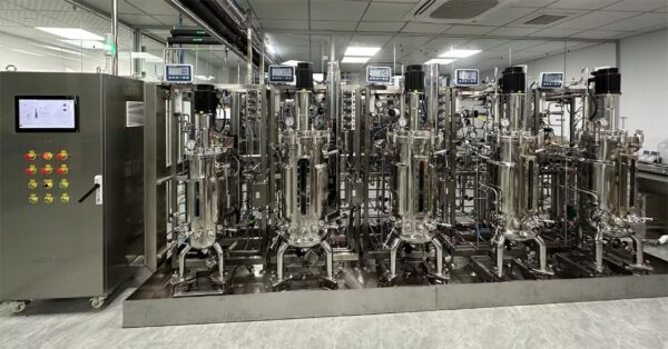 50L-SJA multiple stainless steel bioreactor