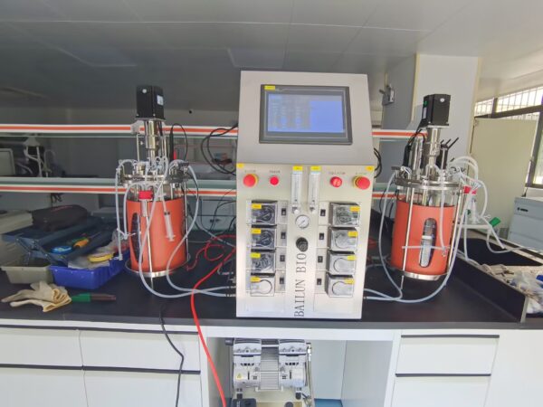 10L Double Single-wall Glass Bioreactor BLBIO-5GJG-2