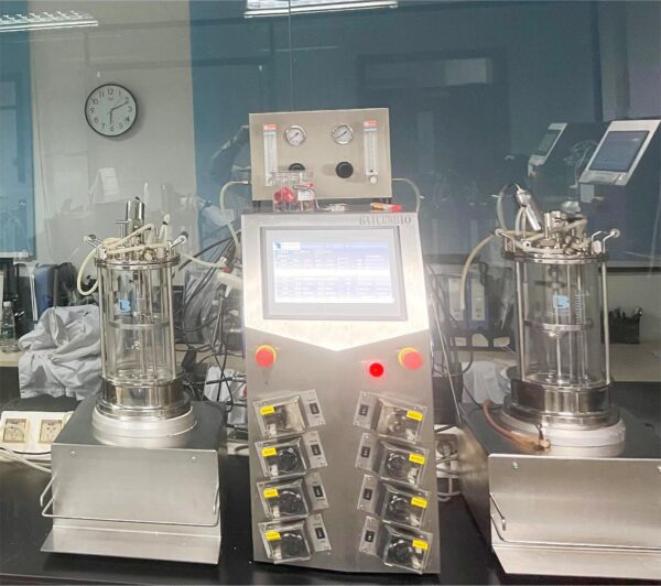 10L Magnetic Driving Glass Bioreactor BLBIO-10GC
