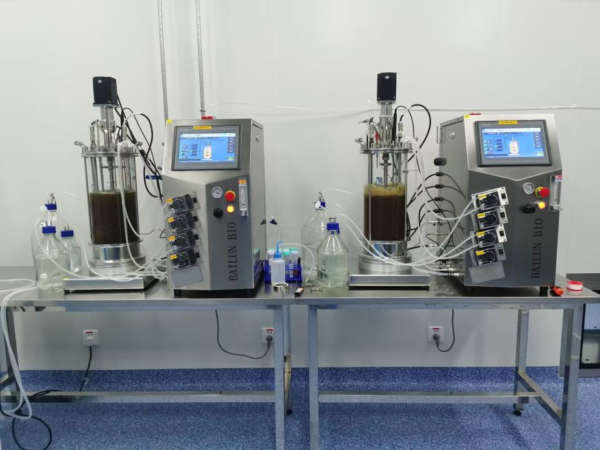 10L Mechanical Mixing Glass Bioreactor BLBIO-10GJ