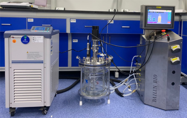 Double wall glass bioreacctor BLBIO-GJGG