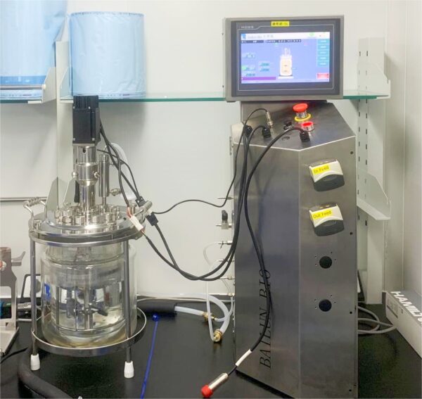 Double wall glass bioreacctor BLBIO-GJGG