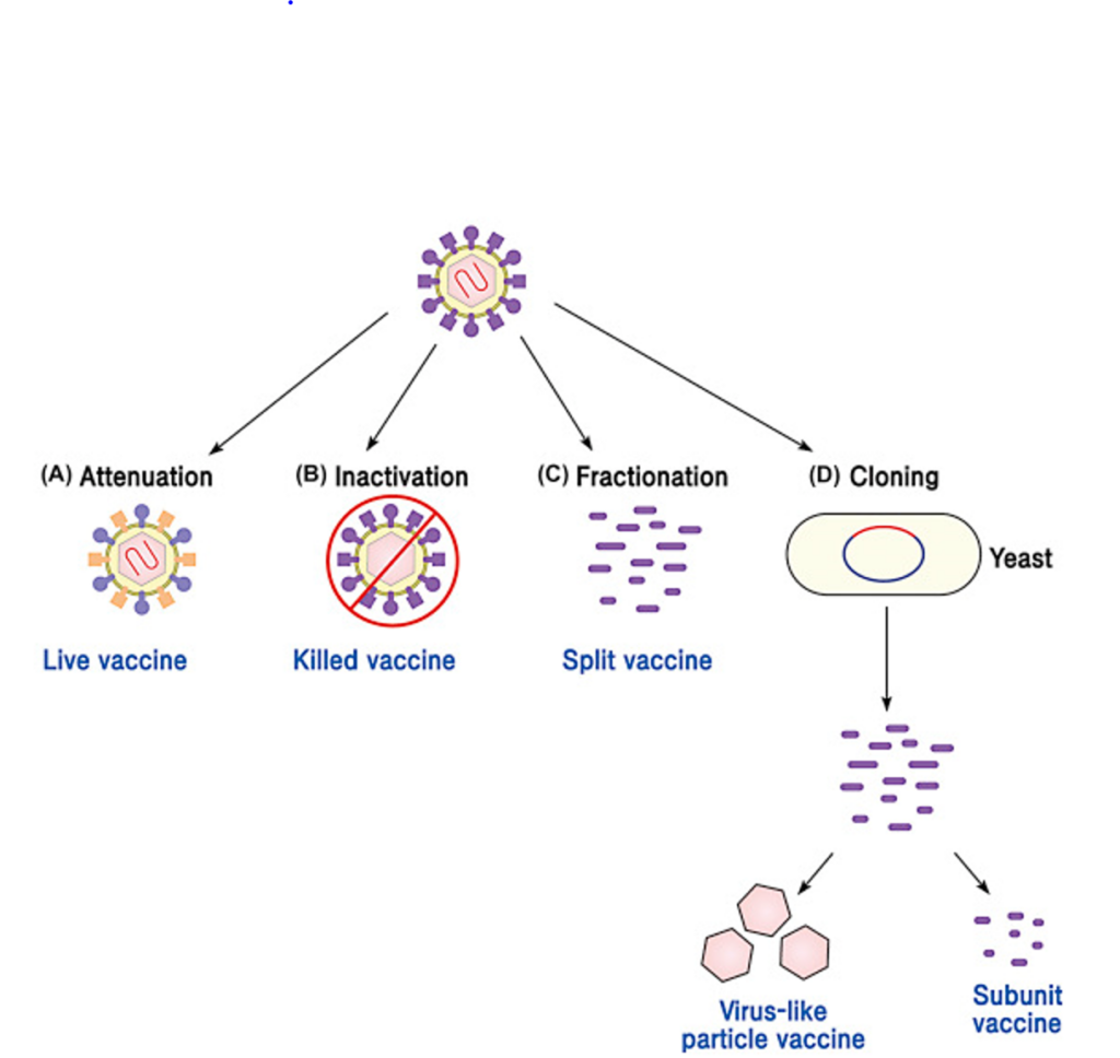 live vaccines