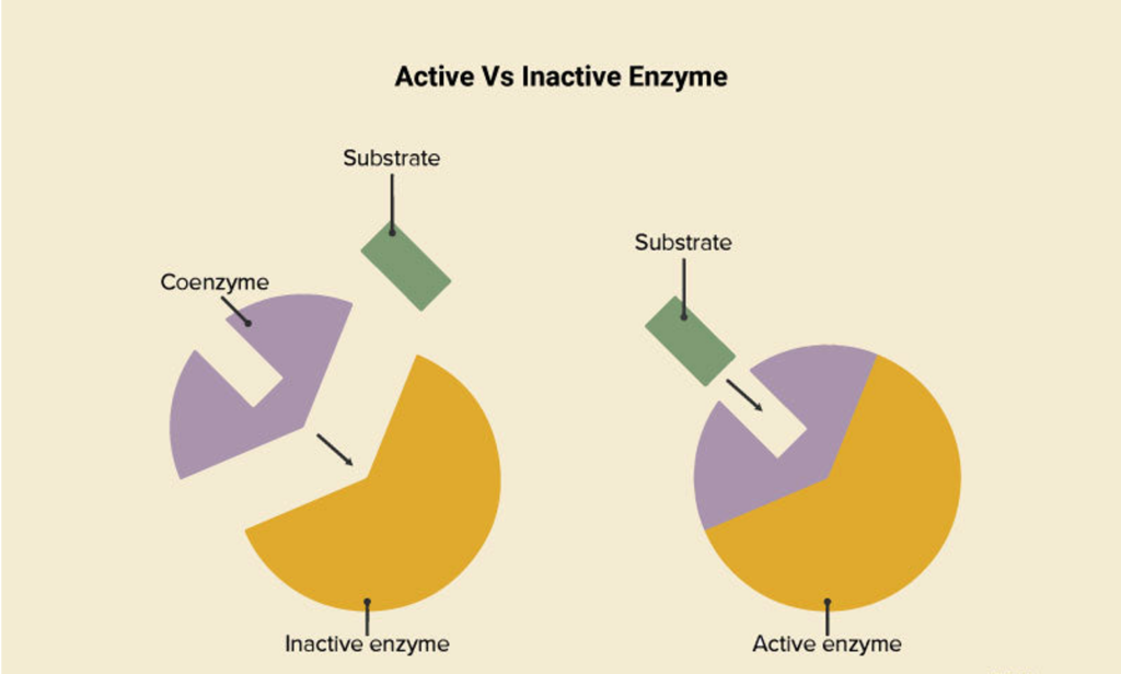 inactive meaning