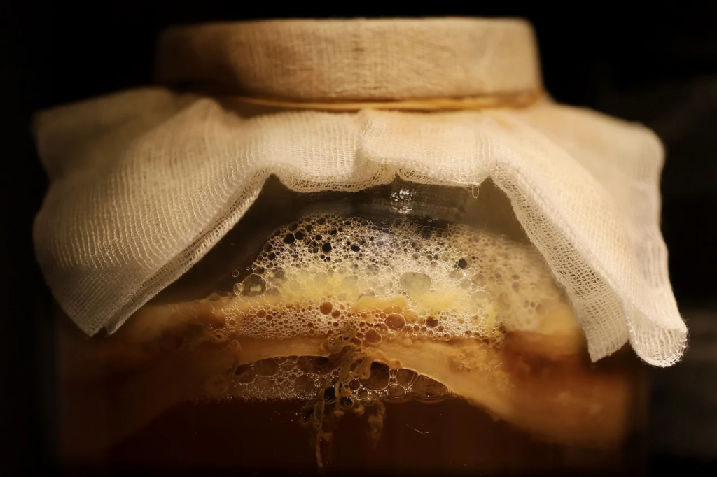 Bacterial Fermentation Products