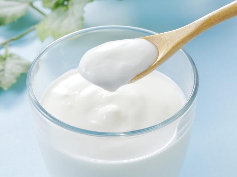Lactic-acid-fermentation