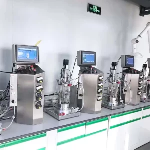 Mechanical Stirring Glass Bioreactor1