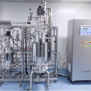 Mechanical Stirring Stainless Steel Fermenter Ferb-SJA