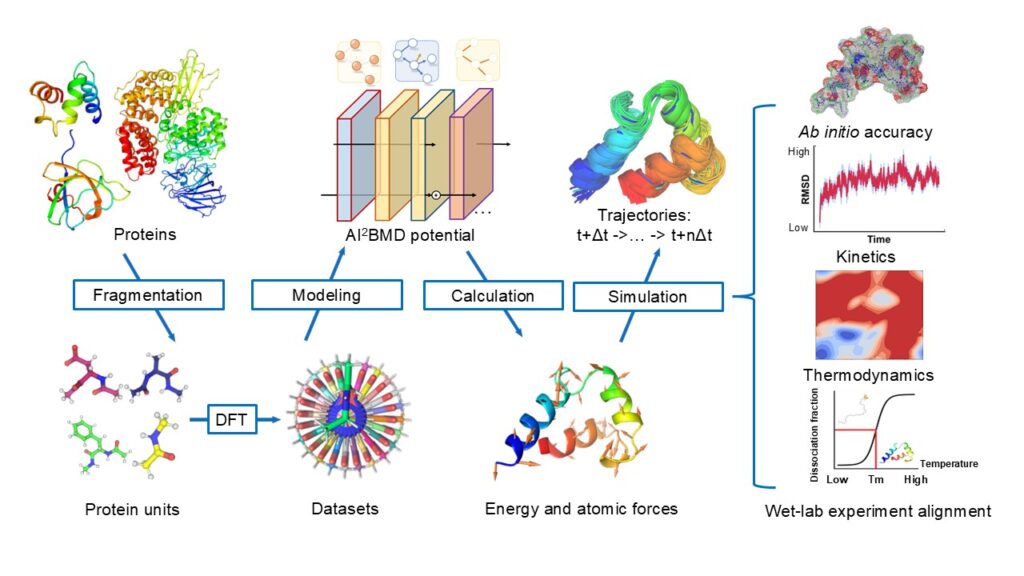 Proteins Synthesized in the Cell
