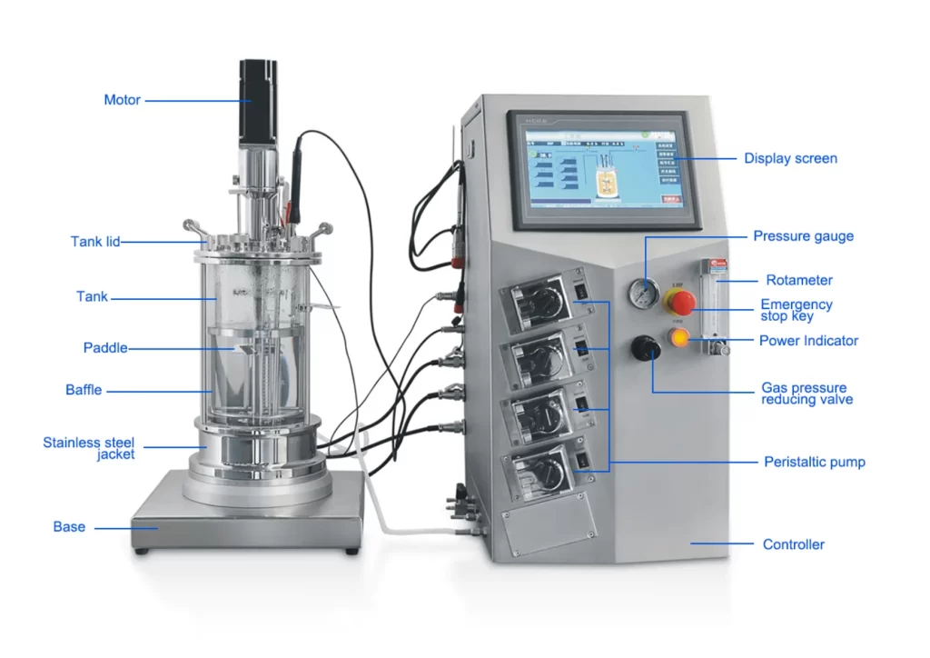 glass bioreactor structure